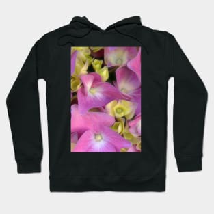 Hydrangea Romance Hoodie